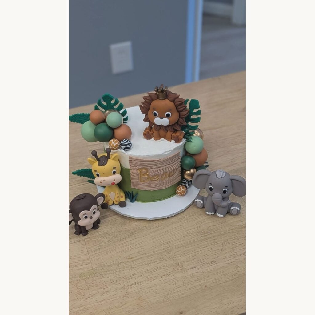 Safari themed custom baby shower cake from The Paperback Bakery at SereniTea Boutique