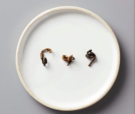 Three curled loose leaf black tea leaves on a white ceramic plate at SereniTea Boutique