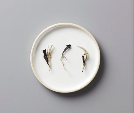 Delicate white tea leaves with silvery buds on a ceramic plate at SereniTea Boutique